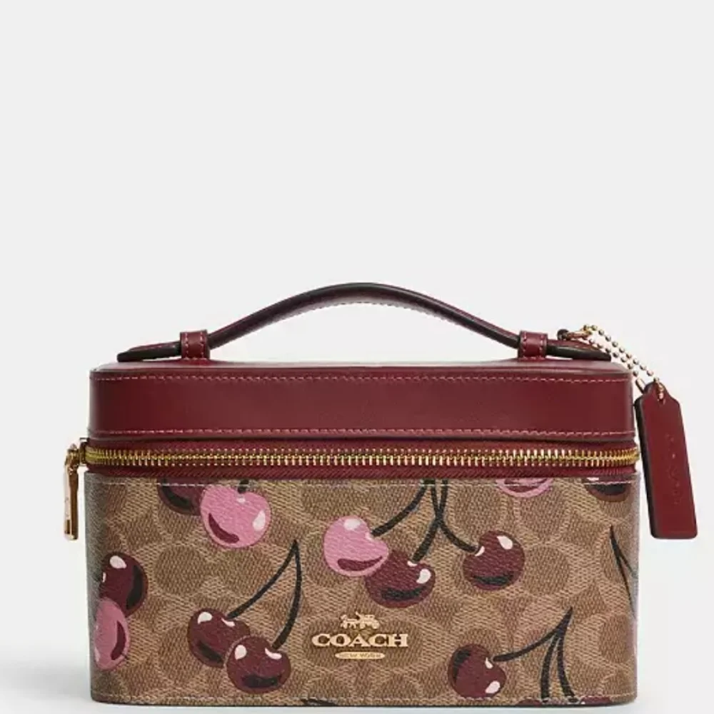 Coach case - Picture 1 of 5